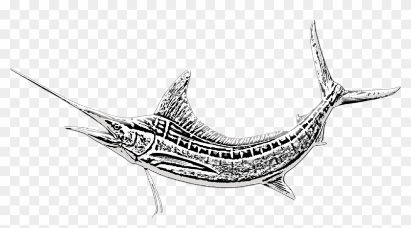Marlin Fish Sword Fish Game Fishing Marlin Fishing - Atlantic Blue Marlin Clipart #3700275