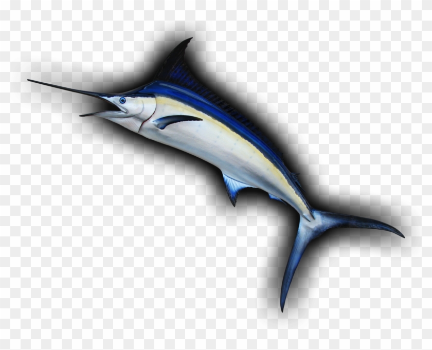 Blue Marlin Leaping Curve Fish Mount Replica - Atlantic Blue Marlin Clipart #3700882