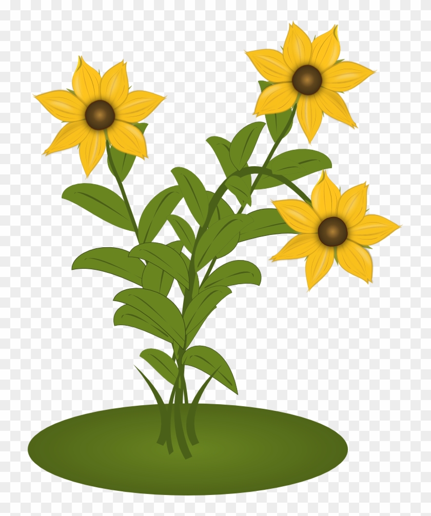 Black Eyed Susans - Sunflower Clipart #3701079