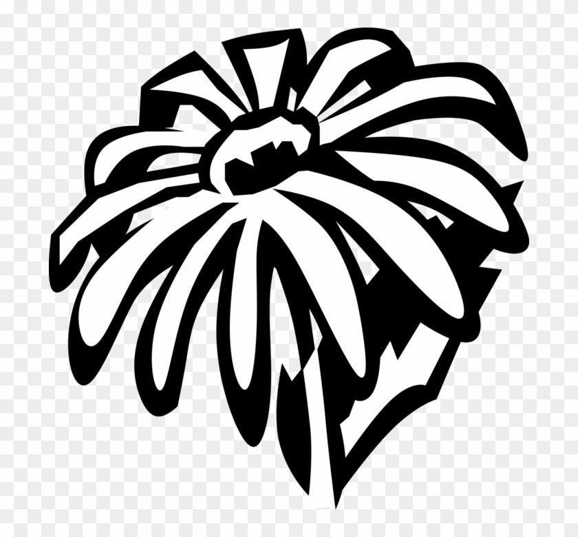 Vector Illustration Of Black-eyed Susan Botanical Flowering - Clip Art - Png Download