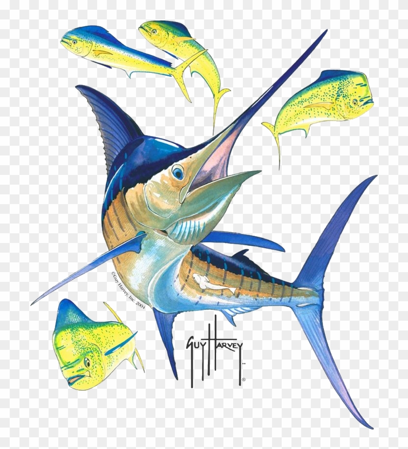 Blue Marlin - Guy Harvey Marlin Clipart #3701325