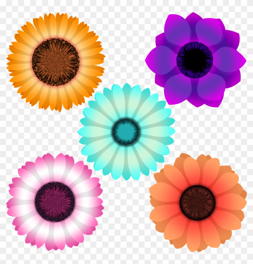 Susan - Hoa Đồng Tiền Png Clipart #3701327