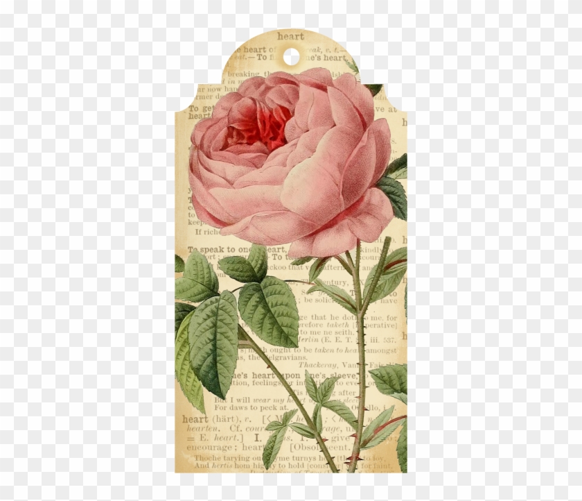 Callmevictorian Free Flower Printable Tags - Paper Clipart #3701499