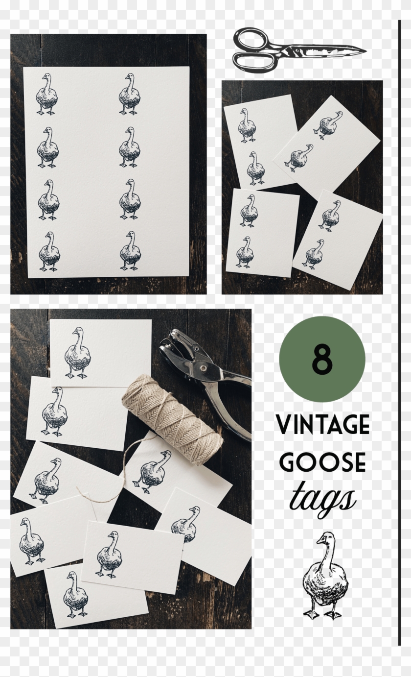 Download Below - Bbg Clipart #3701705
