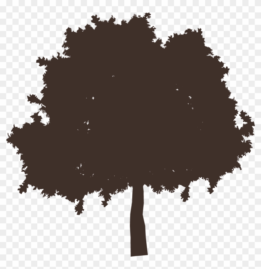 Infographic Header Design - Tree Clipart #3701843