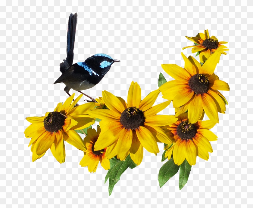 Laminated Poster Flower On Wren Bird Yellow Poster - Gula Blommor Png Clipart #3701963