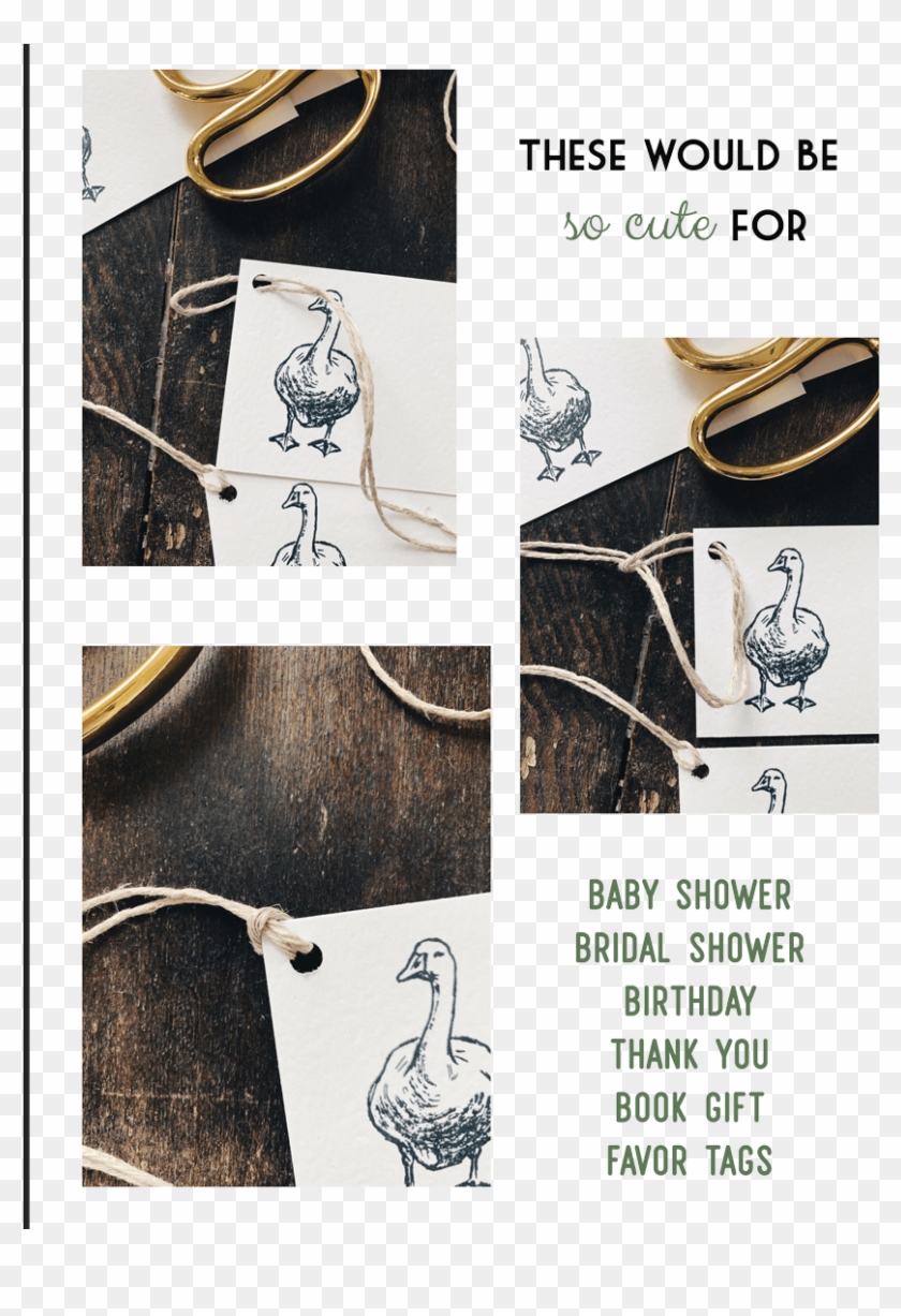 Download Below - Pattern Clipart #3702161