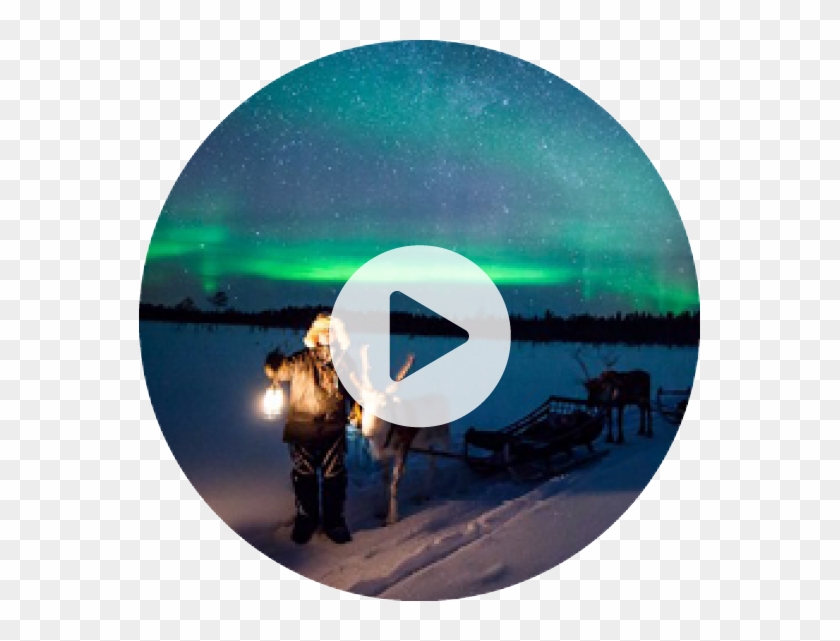 Reindeer Sleigh Ride / Farm Visit From 39€ // 2hrs - Aurora Zone Clipart #3702641