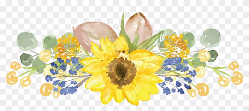 Straightsunflower - Black-eyed Susan Clipart