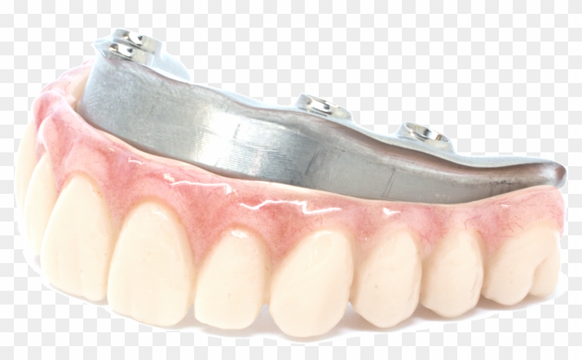 602588 Nexus Hero Image - Macro Photography Clipart