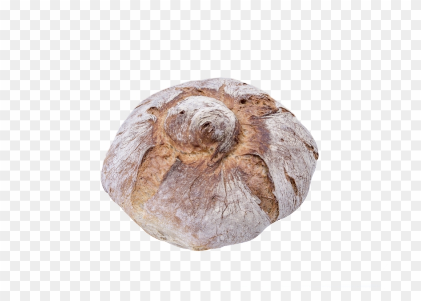 Moño - Bread Clipart #3703499