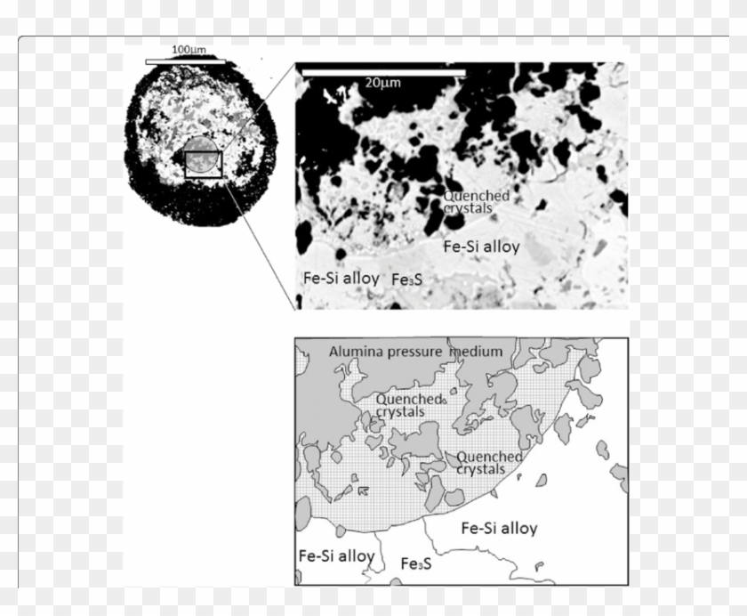 Back Scattered Electron Image Of The Quench Textures - Illustration Clipart