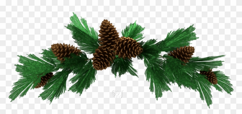 Christmas Assortment - Conifer Cone Clipart #3704228