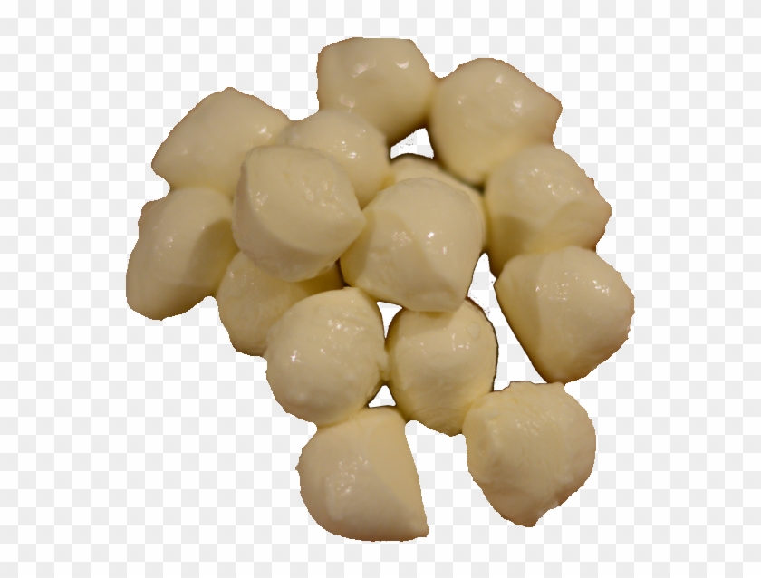 Elephant Garlic Clipart #3705203