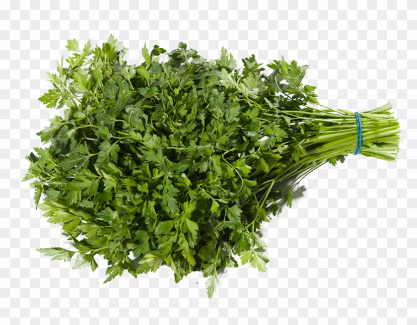 Parsley Clipart #3705580