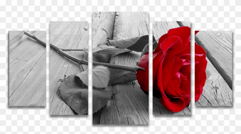 Tela Canvas Para Sala 5 Peças Rosa Vermelha Em Preto - Rose On A Dock Clipart