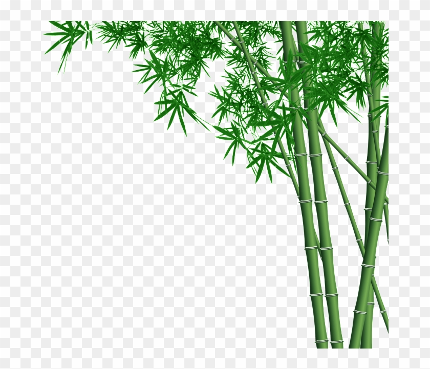 Bamboo Forest Transparent - Bamboo Design Clipart
