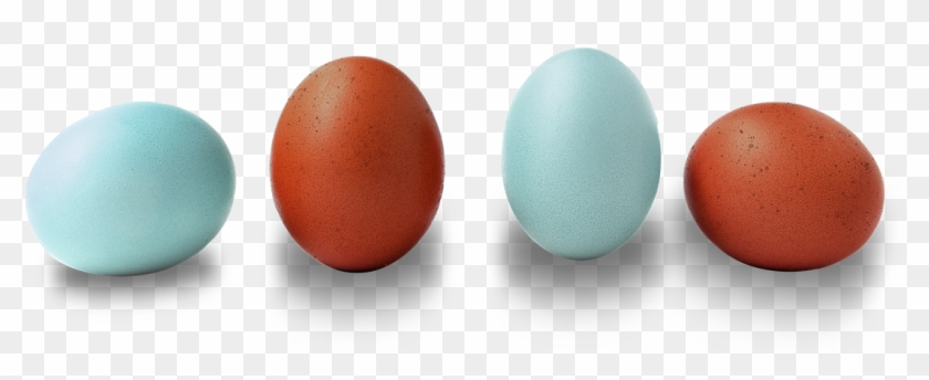 Heritagemainbanner2 - Egg Clipart #3706441