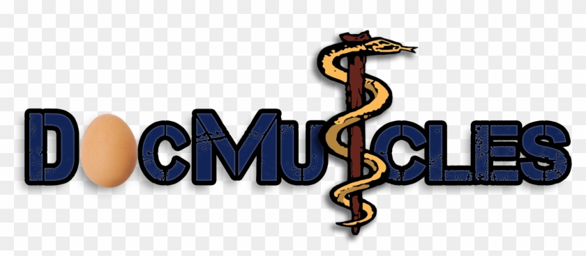 Docmuscles Logo Brown Egg - Serpent Clipart #3706611