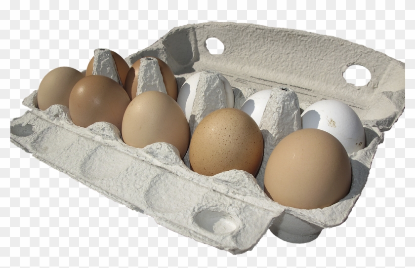 Truth Or Myth - Eggs Carton Transparent Background Clipart