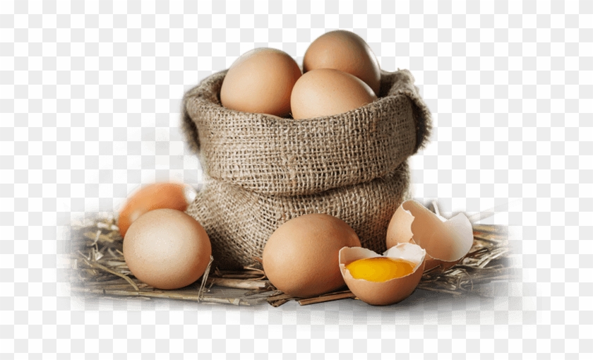 Eggs - Egg Clipart