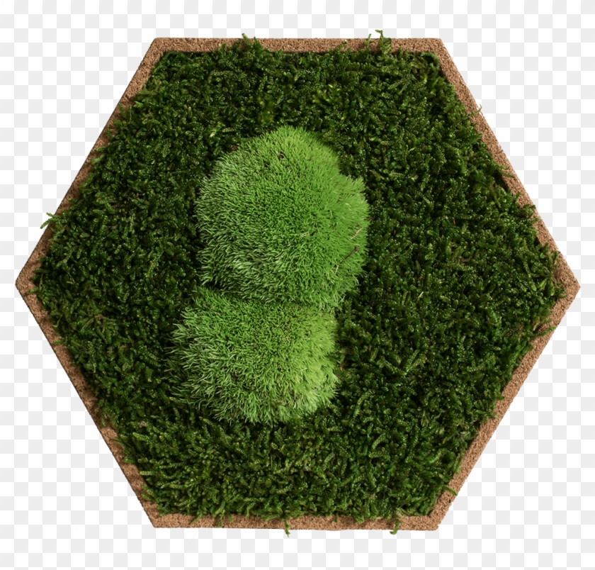 Lawn Clipart #3708092