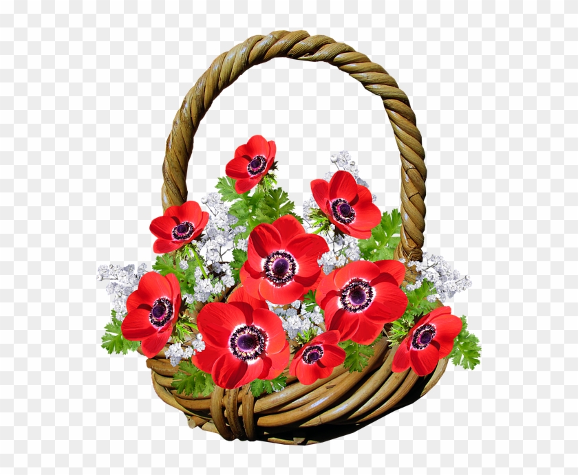 Basket, Anemone, Red Flowers, Gift - Basket Of Flower Png Clipart #3708876