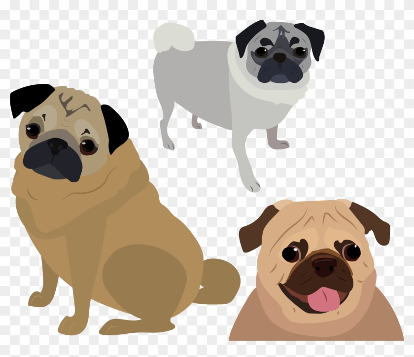 Pug Vector - Pug Clipart