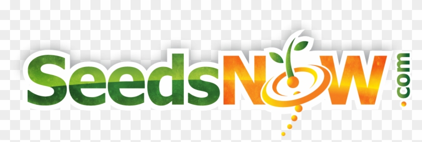 Graphic Design Clipart #3709312