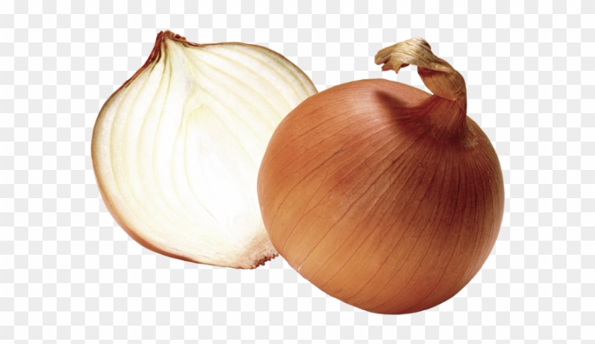 No One Ever Told Onions Could Do These Miraculous Things Clipart #3709483
