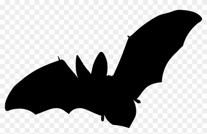 Bat, Mammal, Flying, No Background, Vector - Fledermaus Silhouette Clipart #3709949