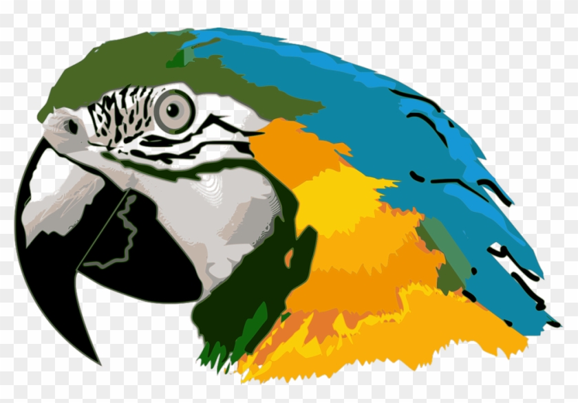 Macaw Clipart Parrot Head - Araras Desenho Png Transparent Png