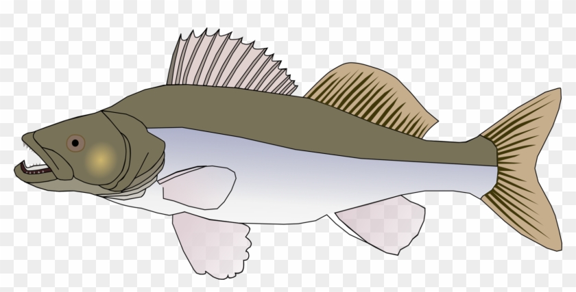 Drawing Graphic Arts Computer Icons Download Big Fish - Big Fish Clipart Png Transparent Png #3711313