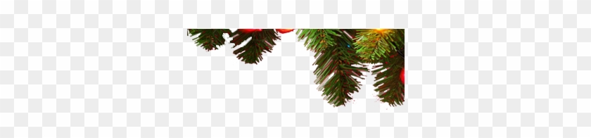 Tree Clipart #3712639