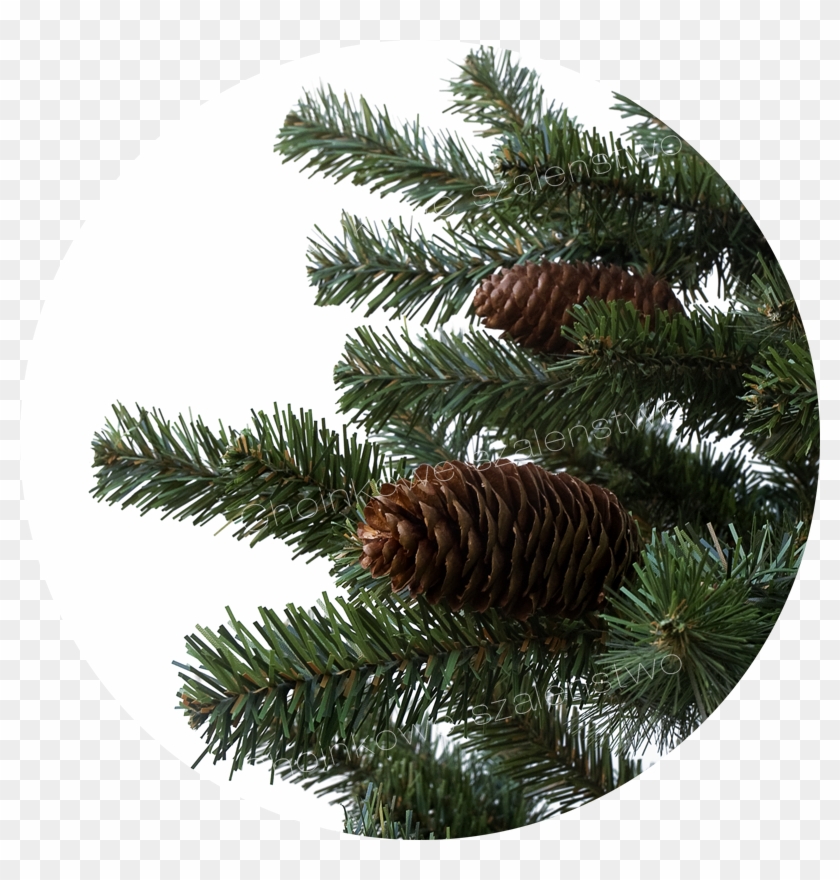 2013 12 03 - Christmas Tree Clipart