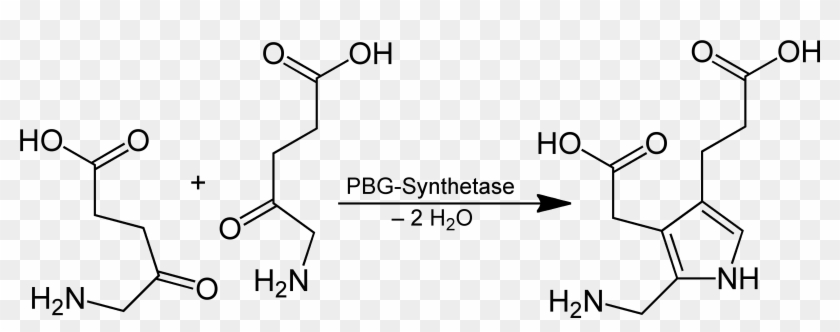 Porphobilinogen Biosynthesis - Image File Formats Clipart