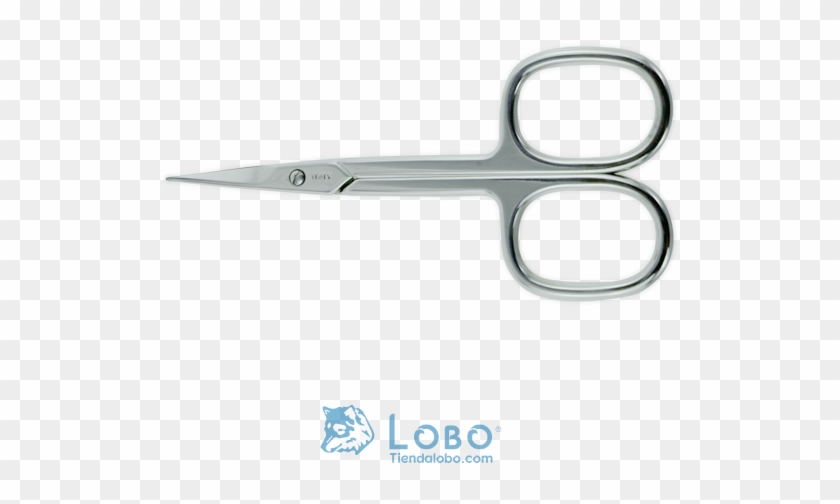 Tijera Manicure Curva Acero Inoxidable Plata - Scissors Clipart