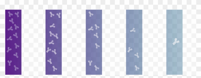 The Right Antibody For Your Experiment - Graphic Design Clipart #3712995