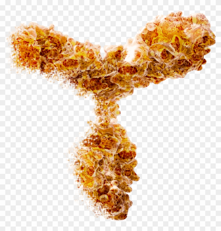 Angiotensin Receptor Antibody - Crystal Clipart #3713153