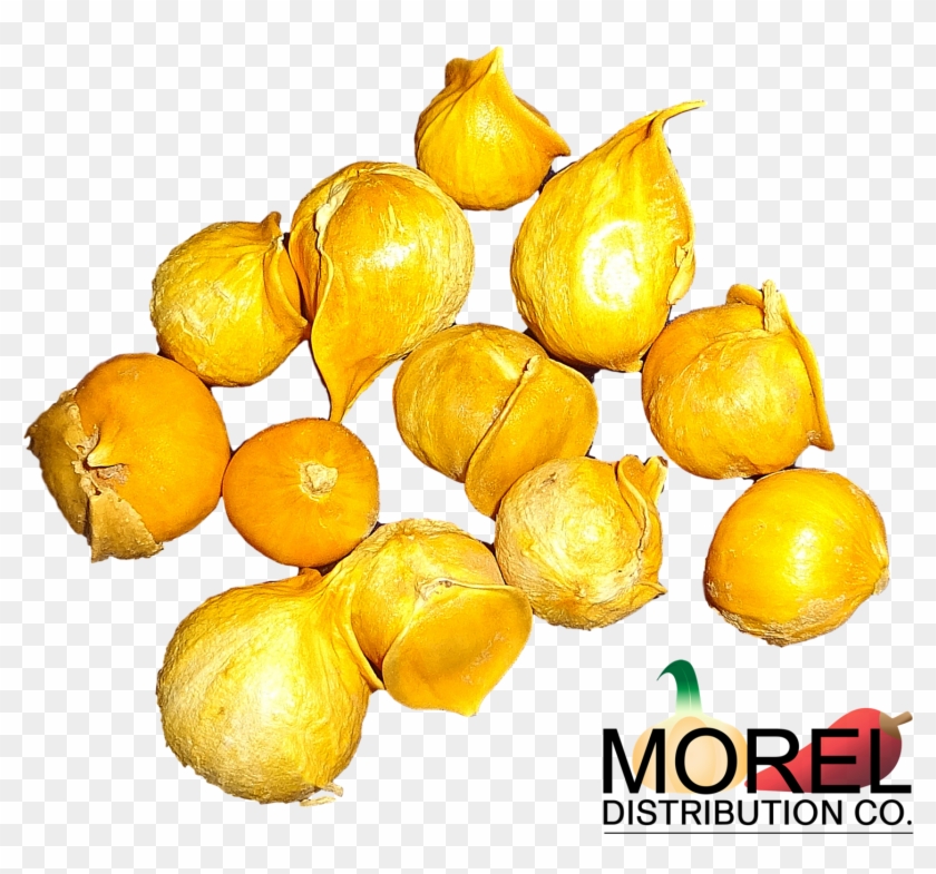 Japanese Garlic//ajo Japones Choose - Natural Foods Clipart #3713215