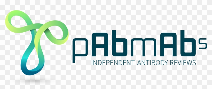 Logo Of Antibody Clipart #3713236