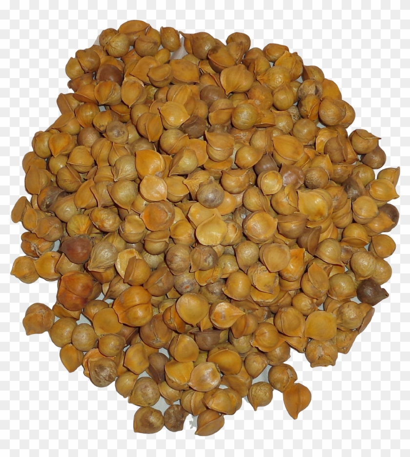 100% Natural Japanese Garlic Or Ajo Japones - Lumber Clipart