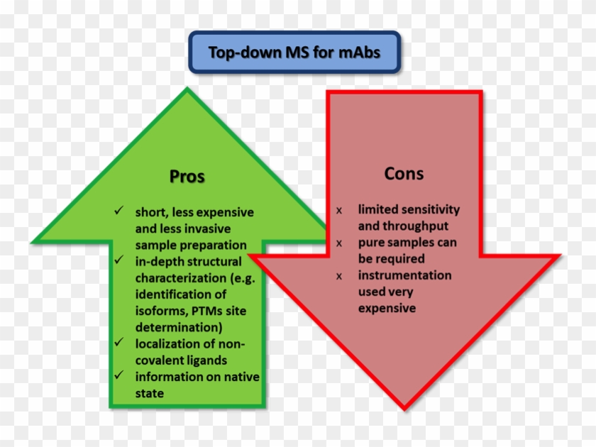 Quality Control And Quantification Through Mass Spectrometry - Advantages Of Using Monoclonal Antibodies To Treat Clipart