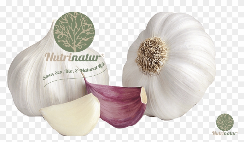 Diente De Ajo Sin Fondo , Png Download - غذا برای سرماخوردگی کودکان Clipart
