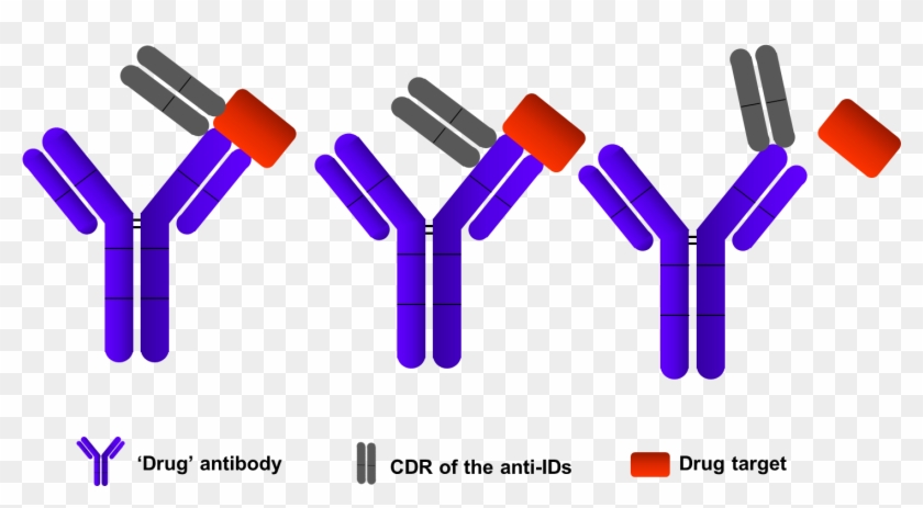 Antidrug Antibody Clipart #3713646