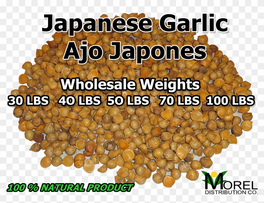 Japanese Garlic/ajo Japones Wholesale 30 Lbs, 40 Lbs, - Mexican Pinyon Clipart #3713868