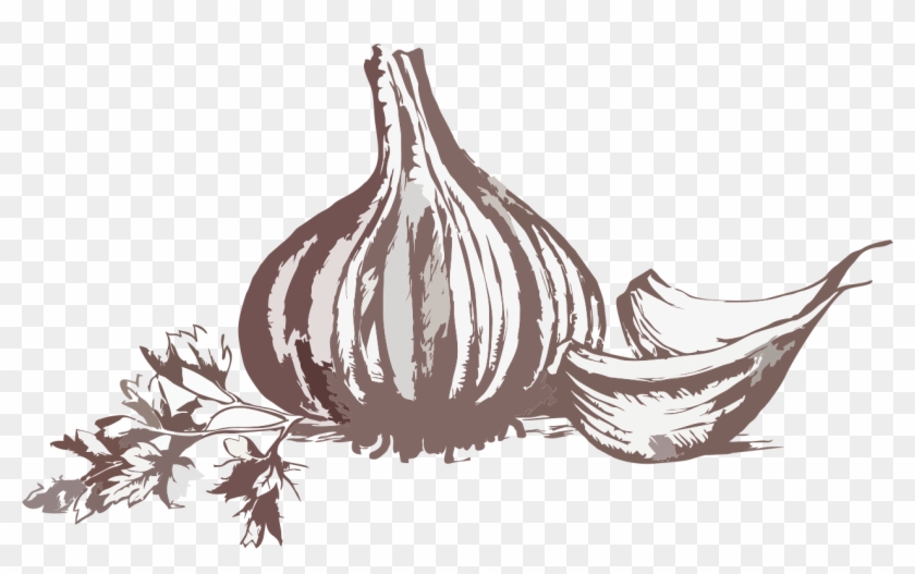 Fondo Ajo - Illustration Clipart #3714314