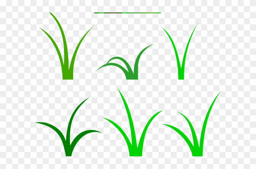 Sea Grass Clipart Black And White - Cartoon Grass Png Transparent Png #3714804