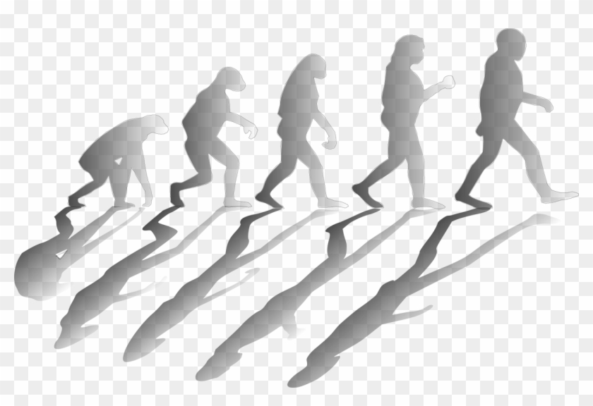 Pixabay - Neo Darwinism Synthesis Theory Clipart #3714934