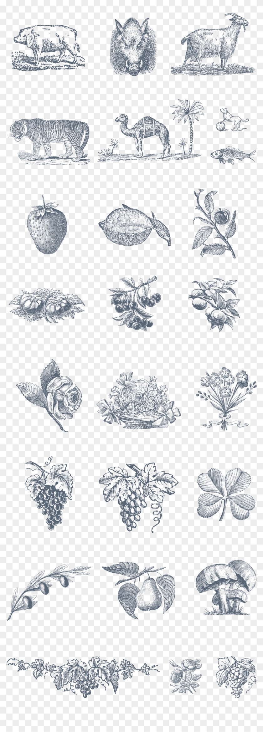 Preview All The Vector Illustrations Provided, Auto-traced Clipart #3715332